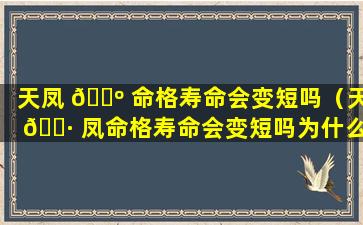 天凤 🐺 命格寿命会变短吗（天 🌷 凤命格寿命会变短吗为什么）